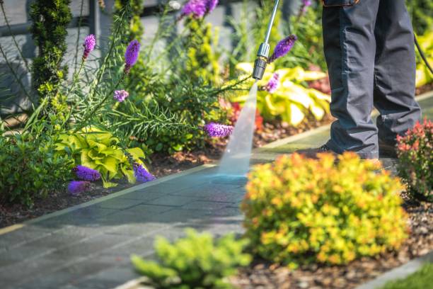 Best Sidewalk and Walkway Cleaning  in Costa Mesa, CA