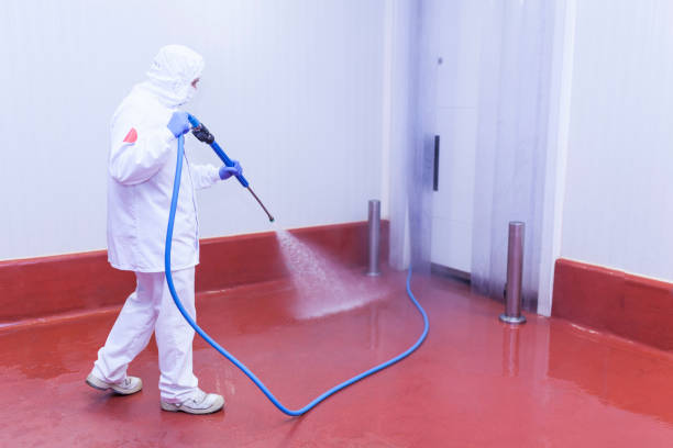 Best Residential House Exterior Washing  in Costa Mesa, CA